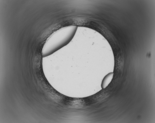 X0000114620505200912011004