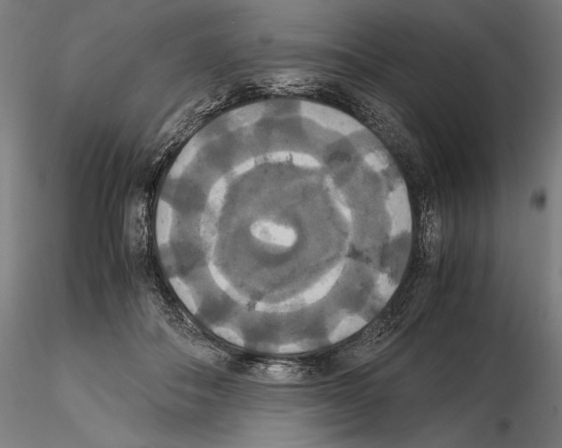 X0000114620506200912011004