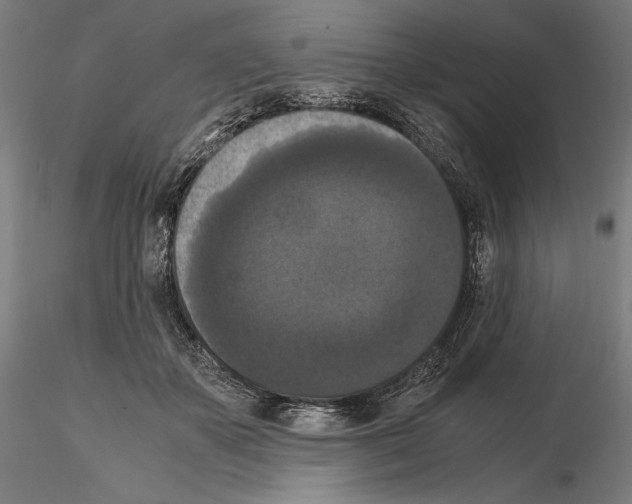 X0000114620507200912011004