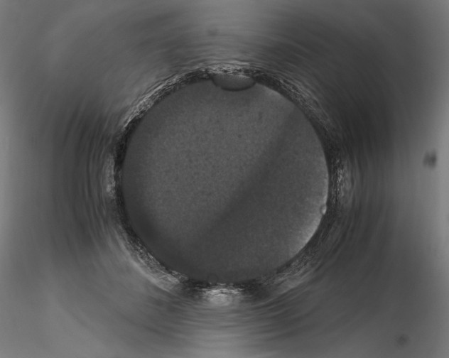 X0000114620508200912011004