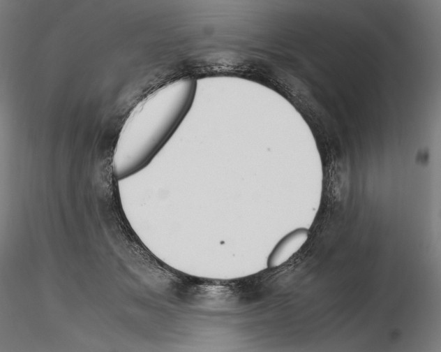 X0000114620509200912011004