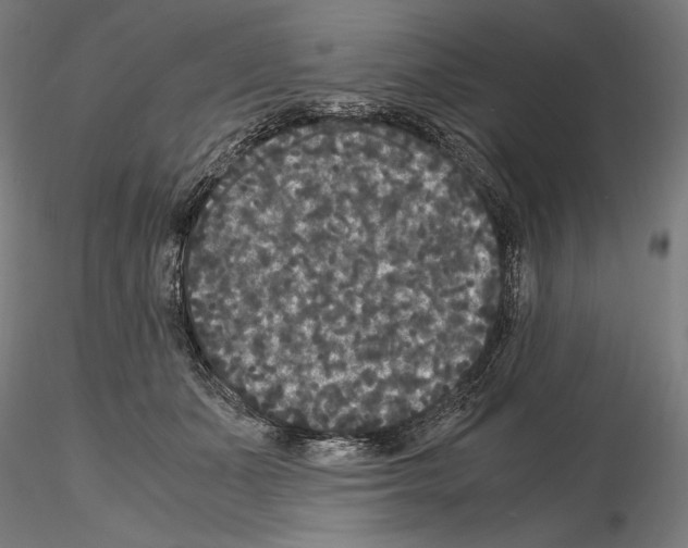 X0000114620511200912011004