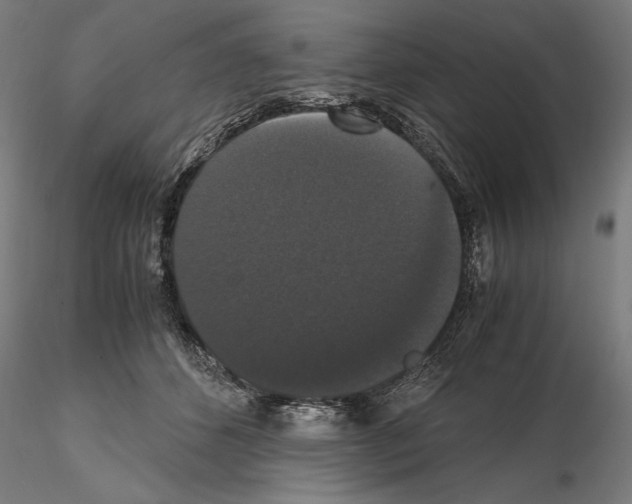 X0000114620512200912011004