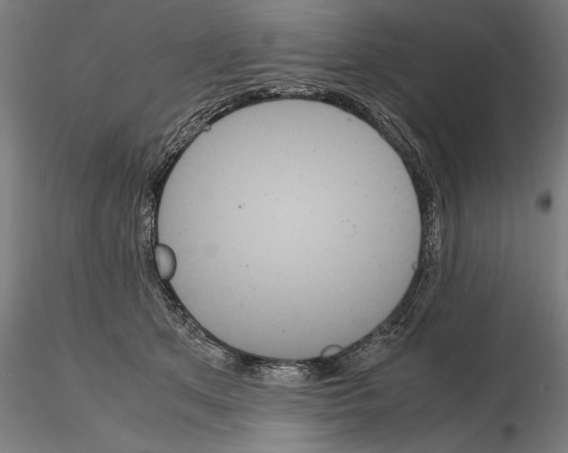 X0000114620513200912011004