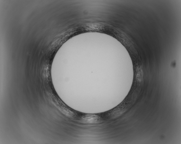 X0000114620514200912011004