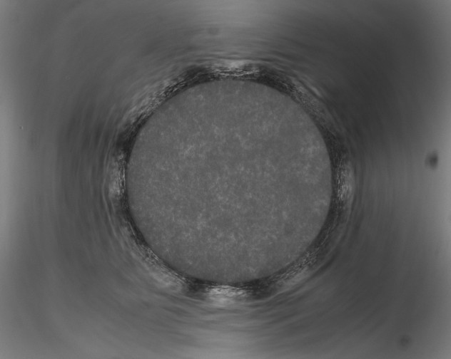 X0000114620515200912011004