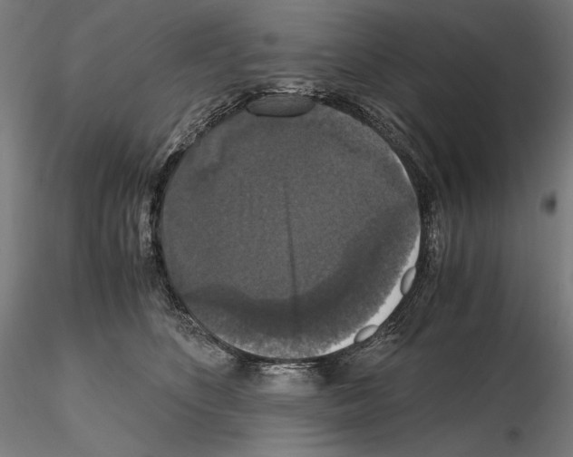 X0000114620516200912011004