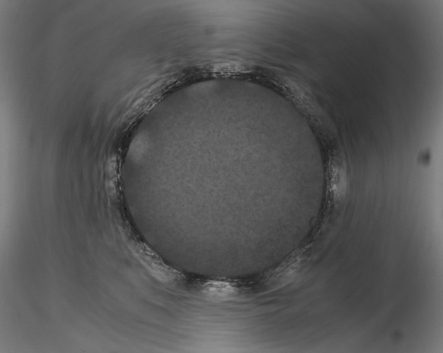 X0000114620519200912011004