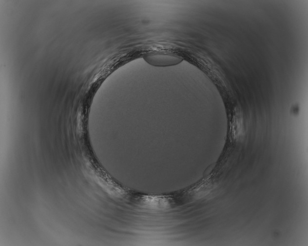 X0000114620520200912011004