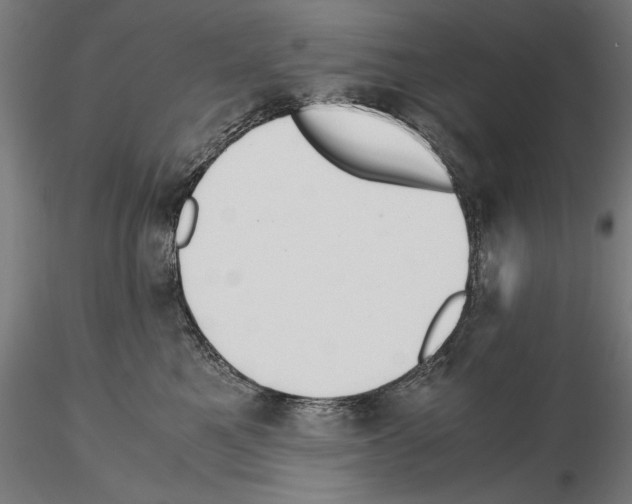 X0000114620521200912011004