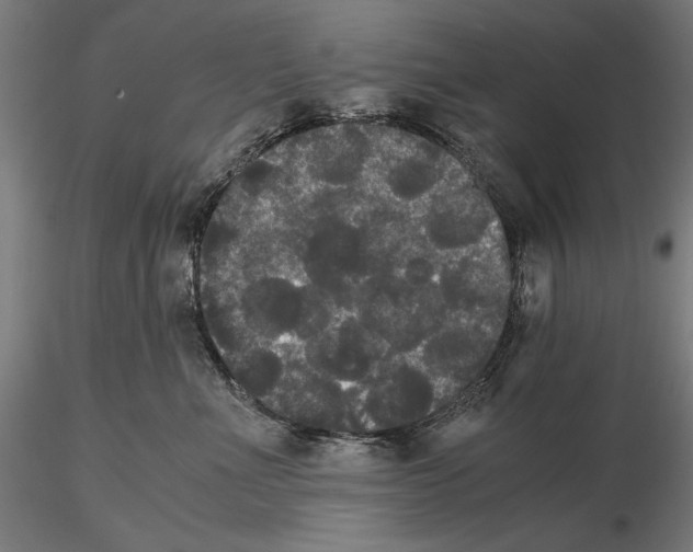 X0000114620523200912011004