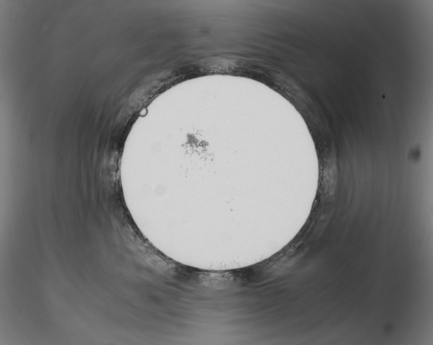 X0000114620525200912011004