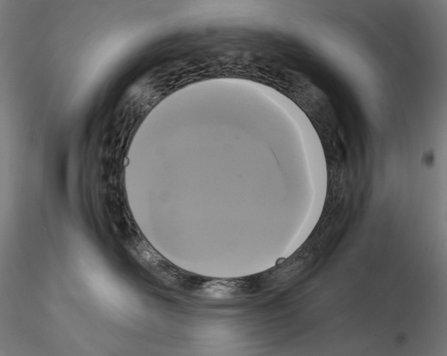 X0000114620526200912011004