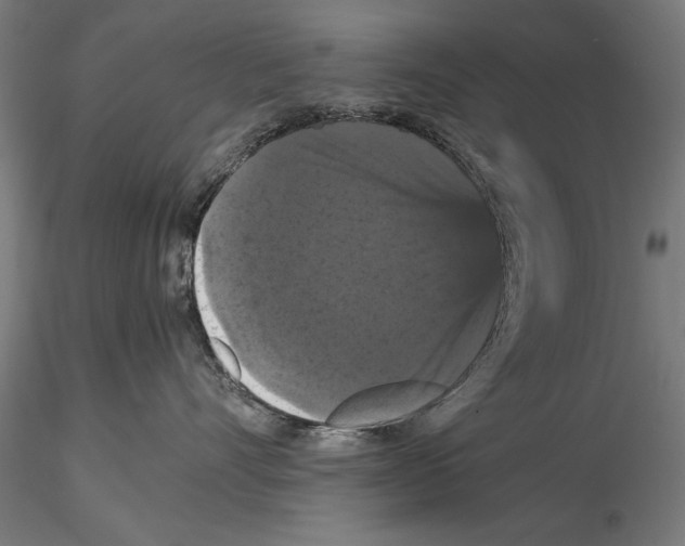 X0000114620528200912011004