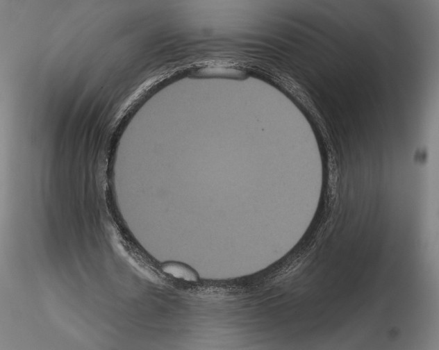 X0000114620530200912011003