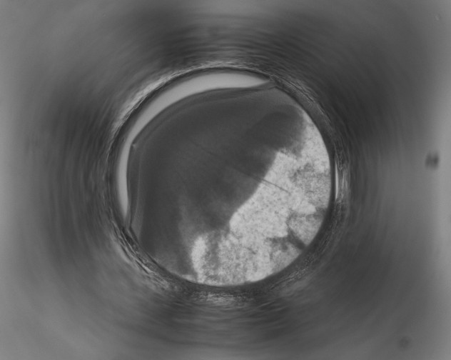 X0000114620531200912011003