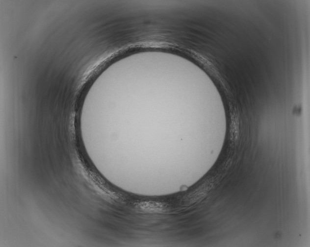 X0000114620535200912011003