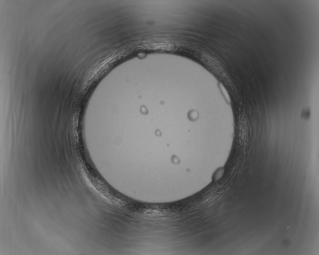 X0000114620538200912011003