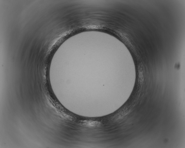 X0000114620539200912011003