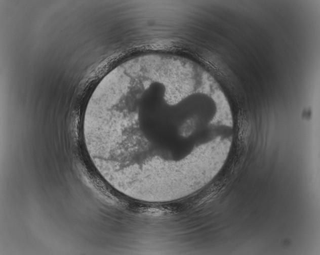 X0000114620542200912011003