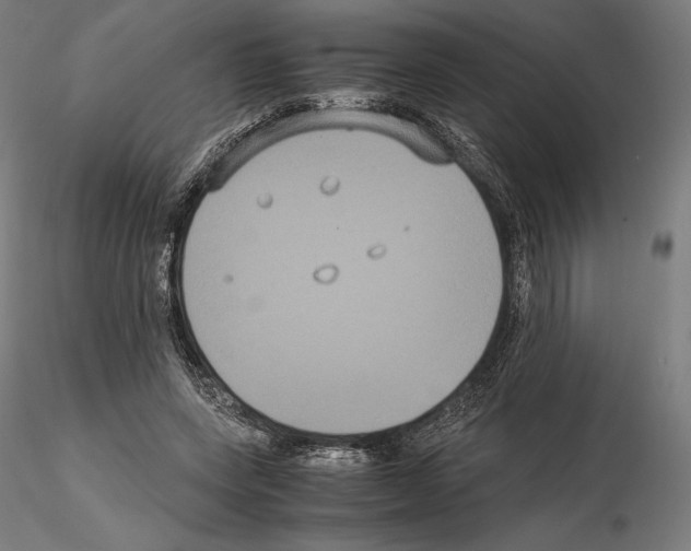 X0000114620543200912011003