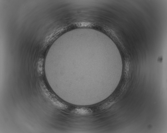 X0000114620545200912011003