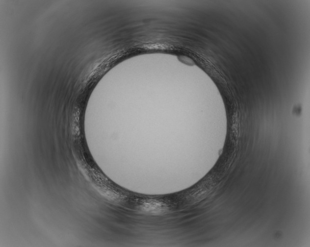 X0000114620547200912011003