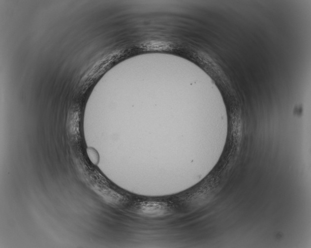 X0000114620549200912011003