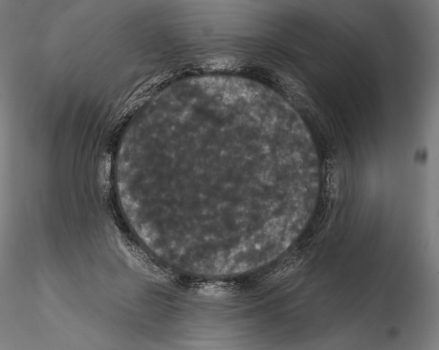 X0000114620550200912011003