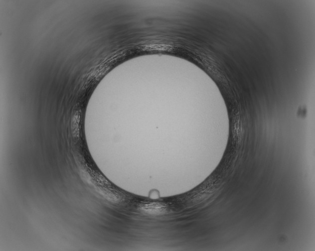 X0000114620551200912011003