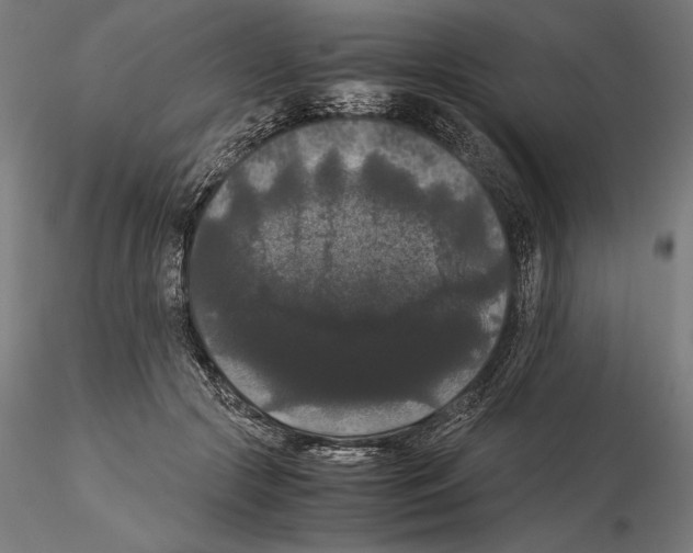 X0000114620553200912011003