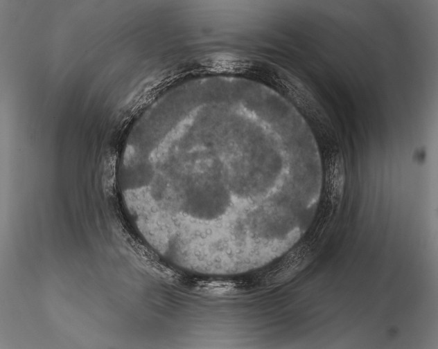 X0000114620554200912011003