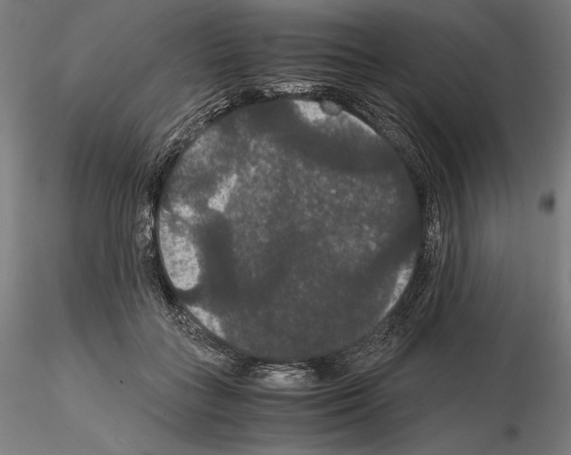 X0000114620555200912011003