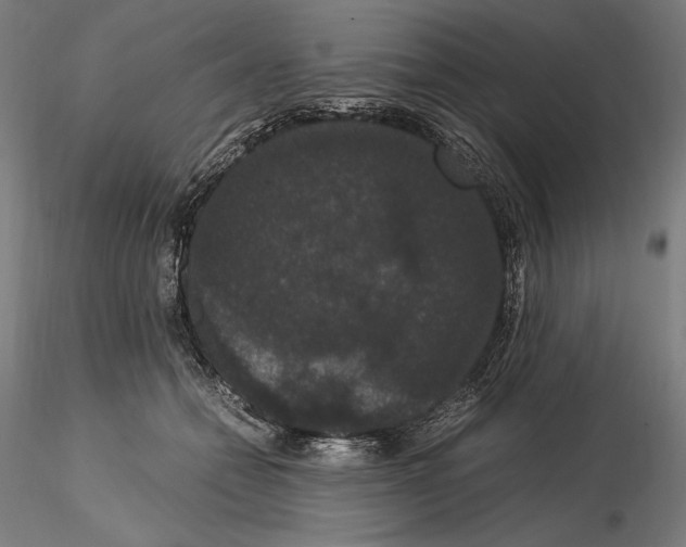 X0000114620558200912011003