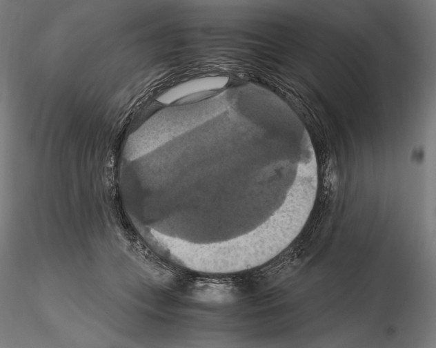 X0000114620559200912011003