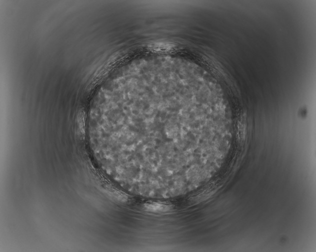 X0000114620561200912011003