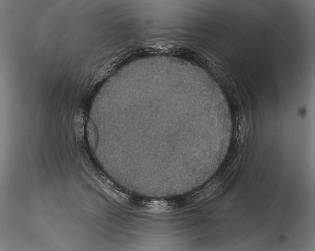 X0000114620562200912011003