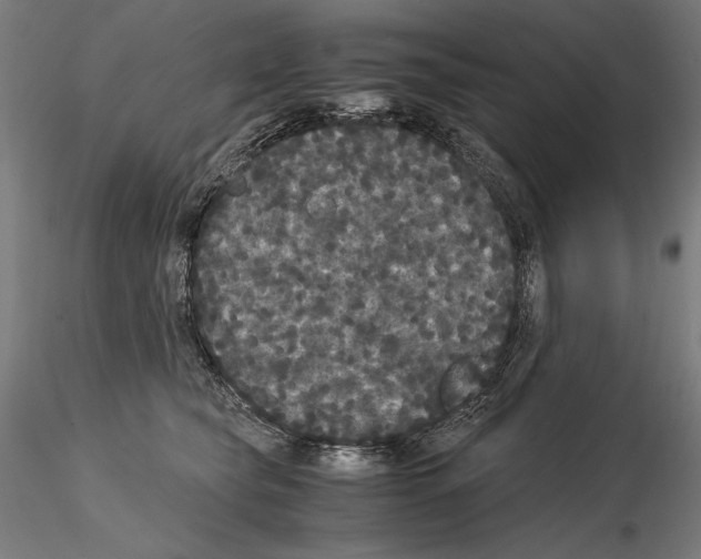 X0000114620565200912011004