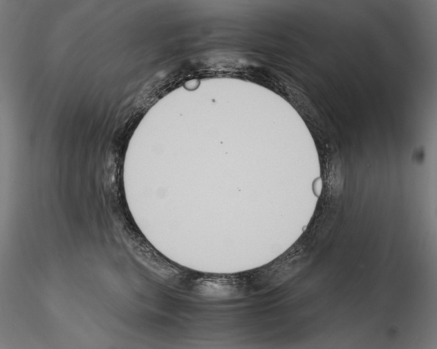 X0000114620567200912011004