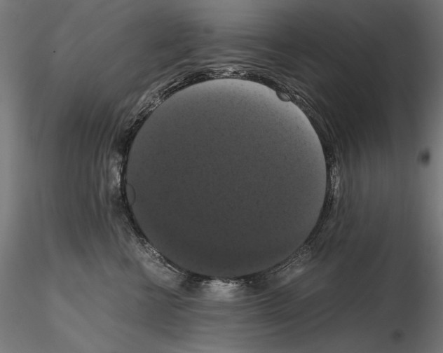 X0000114620570200912011004