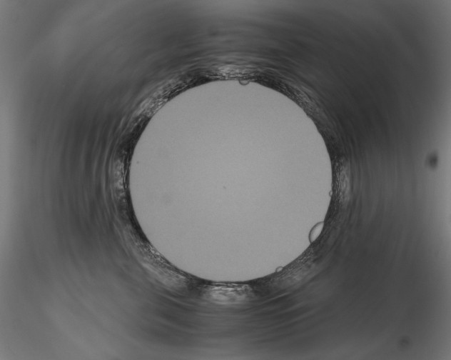 X0000114620571200912011004