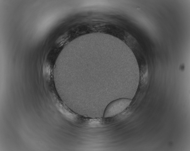 X0000114620574200912011004