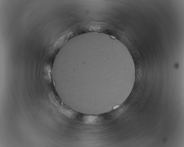 X0000114620575200912011004