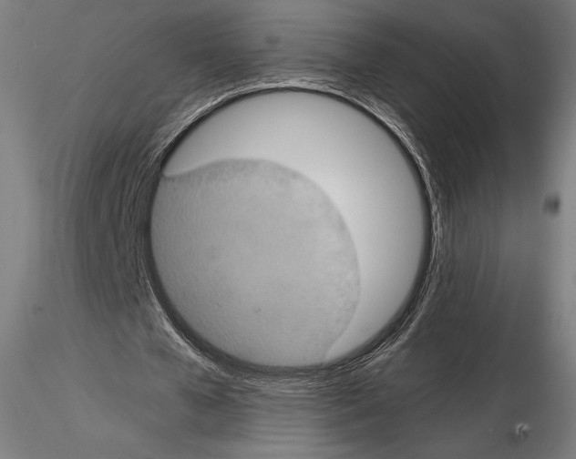 X0000114620577200912011003