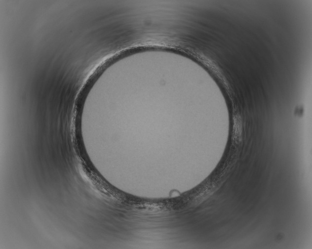 X0000114620580200912011003