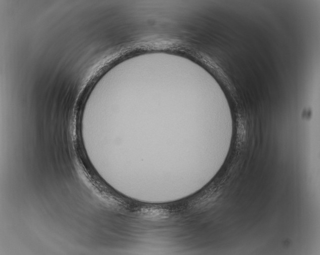 X0000114620582200912011003