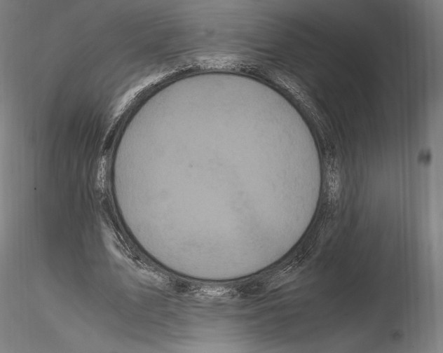 X0000114620583200912011003