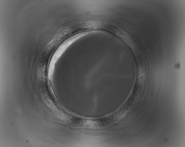 X0000114620585200912011003