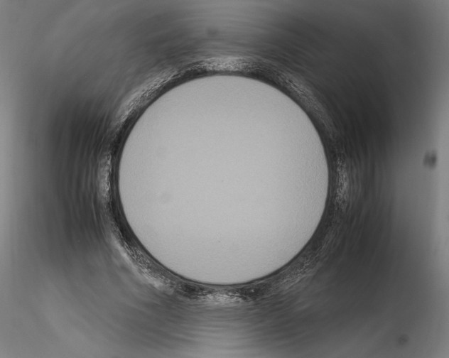 X0000114620586200912011003