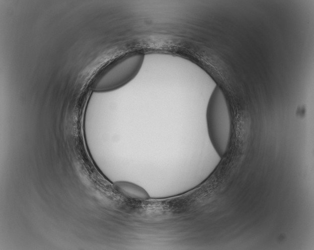 X0000114620587200912011003